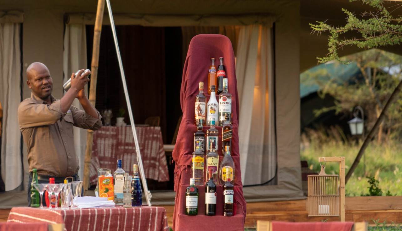 Acacia Bliss Serengeti image #8