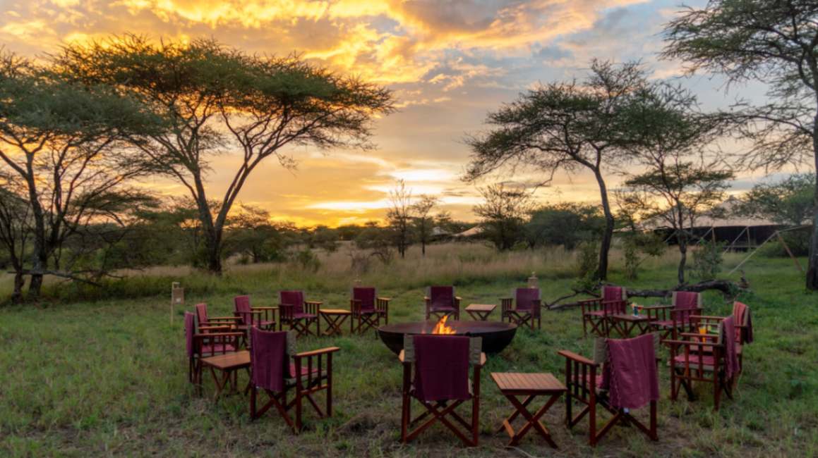Acacia Bliss Serengeti image #11