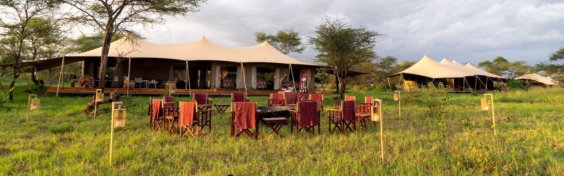 Acacia Bliss Serengeti