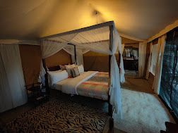 Acacia Central  Camp image #7