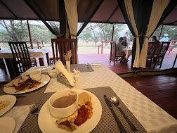 Acacia Central  Camp image #5
