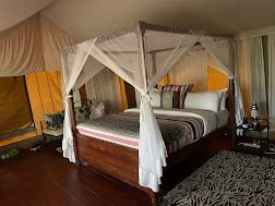 Acacia Central  Camp image #6