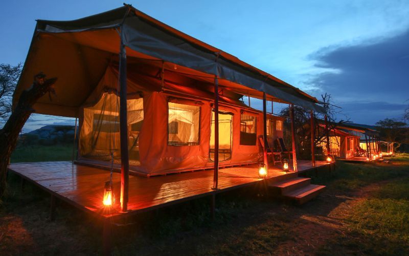 Acacia Central  Camp