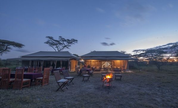 Acacia Migration Camp Ndutu - Kogatende image #4