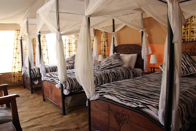 Acacia Migration Camp Ndutu - Kogatende image #12