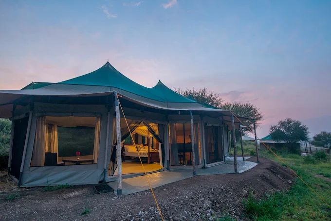Acacia Migration Camp Ndutu - Kogatende image #11