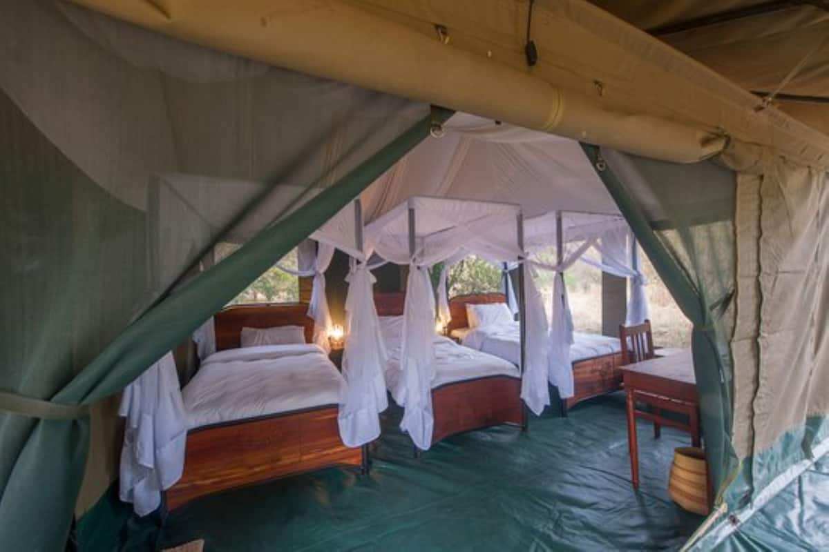 Acacia Migration Camp Ndutu - Kogatende image #8