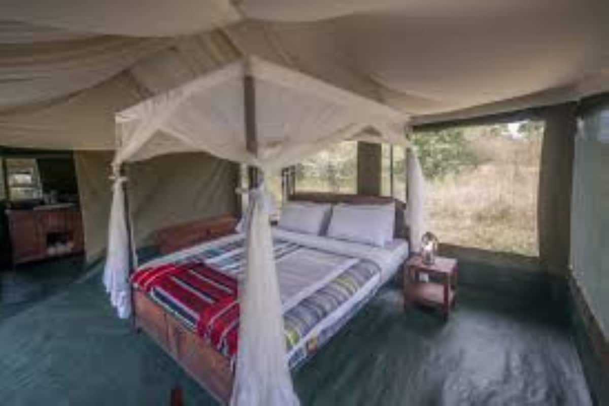 Acacia Migration Camp Ndutu - Kogatende image #10