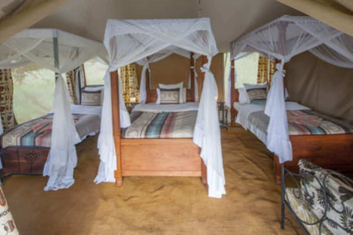 Acacia Migration Camp Ndutu - Kogatende image #9