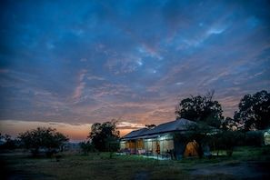 Acacia Migration Camp Ndutu - Kogatende image #5