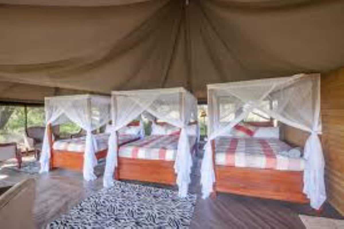 Acacia Seronera Luxury Camp image #12