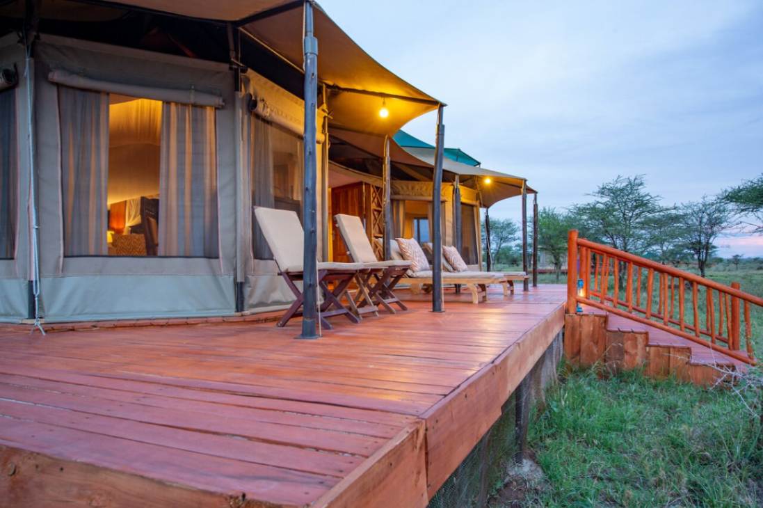Acacia Seronera Luxury Camp image #15