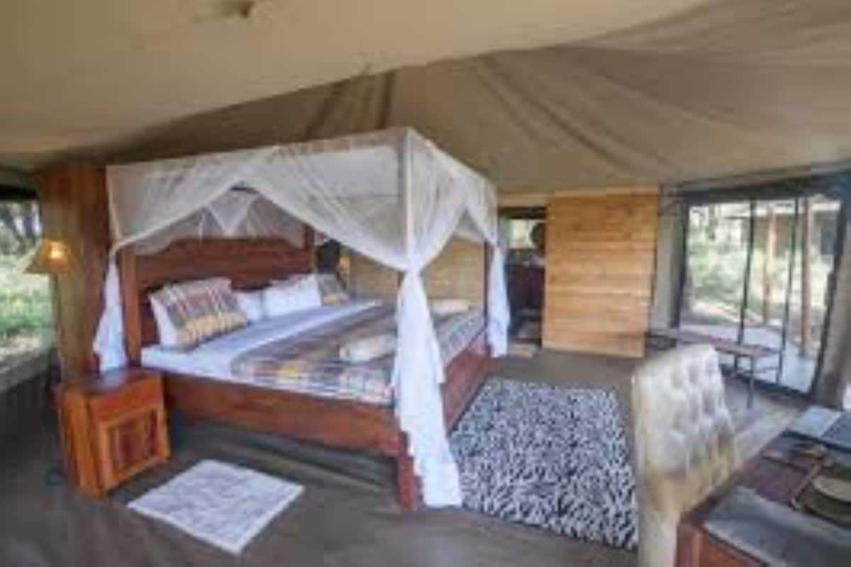 Acacia Seronera Luxury Camp image #11