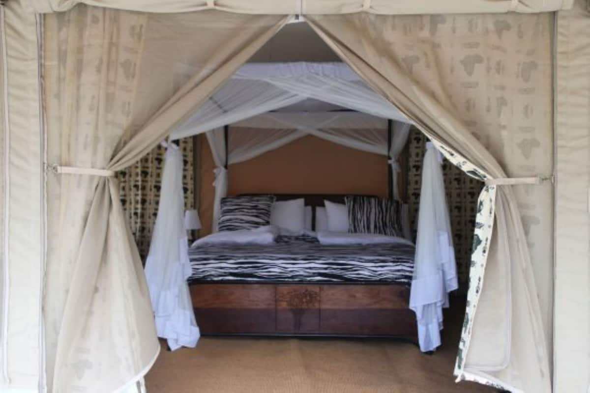 Acacia Seronera Luxury Camp image #13