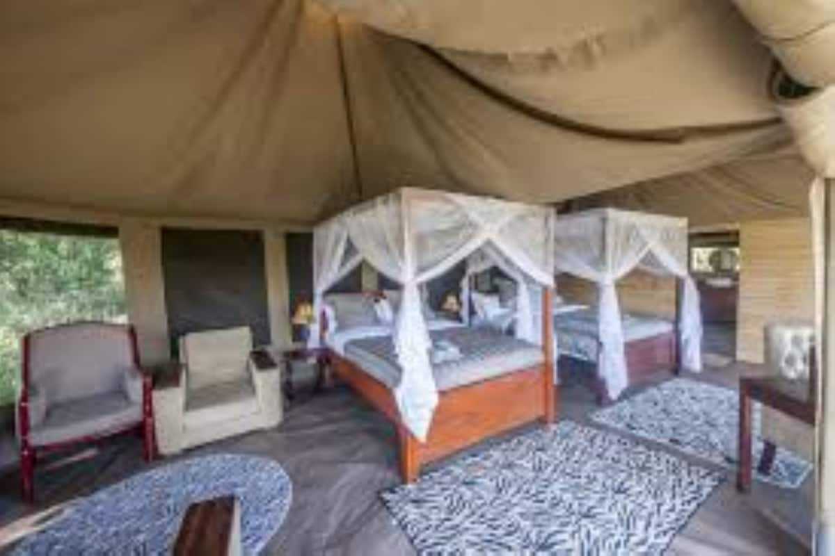 Acacia Seronera Luxury Camp image #18