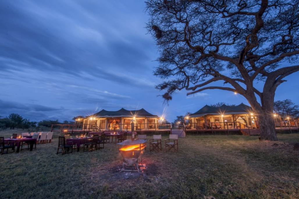 Acacia Seronera Luxury Camp image #14