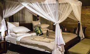 Acacia Tarangire Luxury Camp image #10