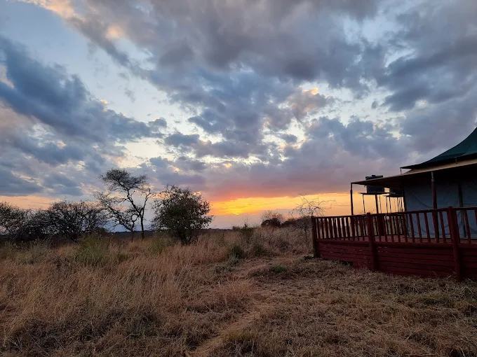 Acacia Tarangire Luxury Camp image #1