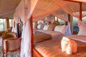 Acacia Tarangire Luxury Camp image #8