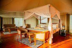 Acacia Tarangire Luxury Camp image #9