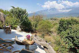 Africa Amini Hillside Retreat image #3