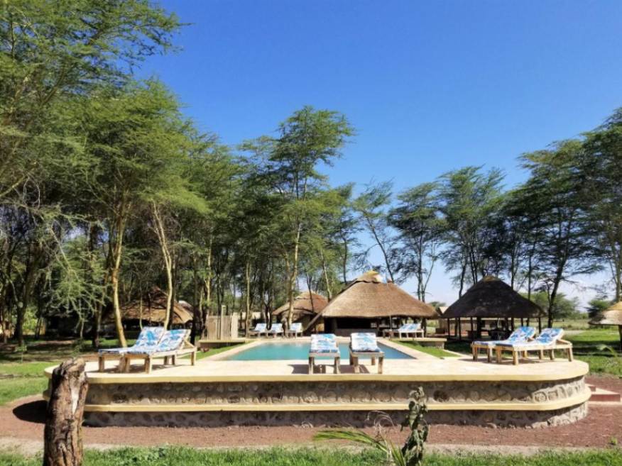 Africa Safari Lake Manyara image #6