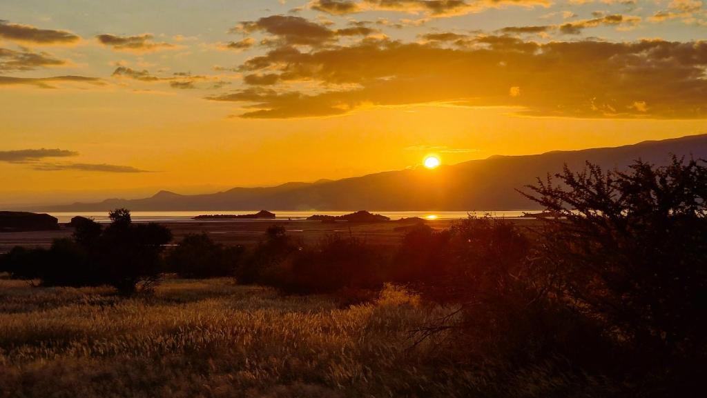 Africa Safari Lake Natron image #5