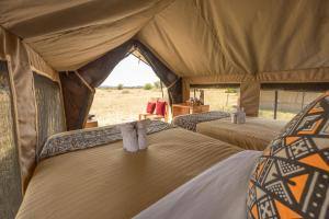Africa Safari South Serengeti image #1
