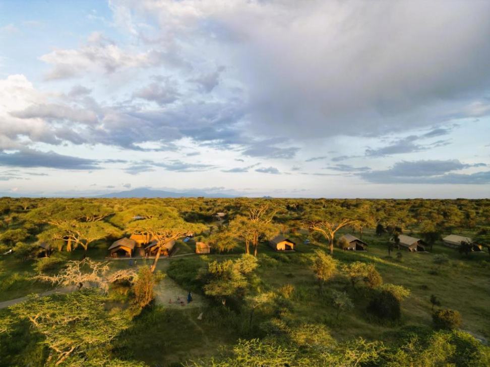 Africa Safari South Serengeti image #8