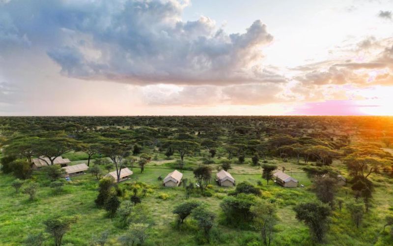 Africa Safari South Serengeti