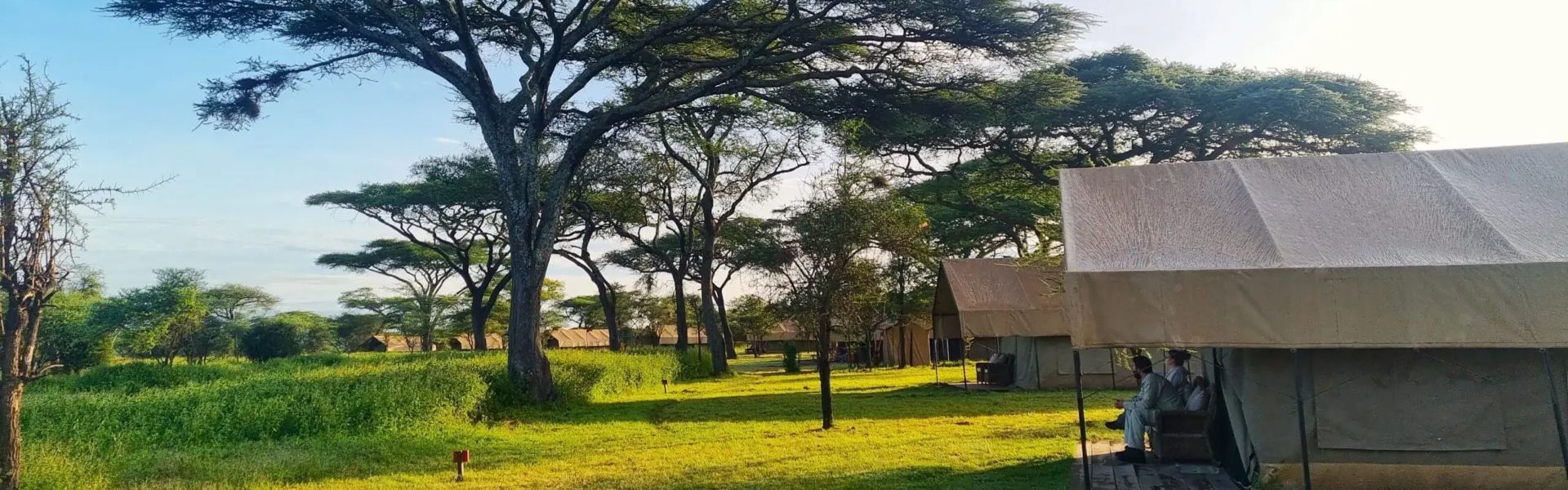 Africa Safari South Serengeti