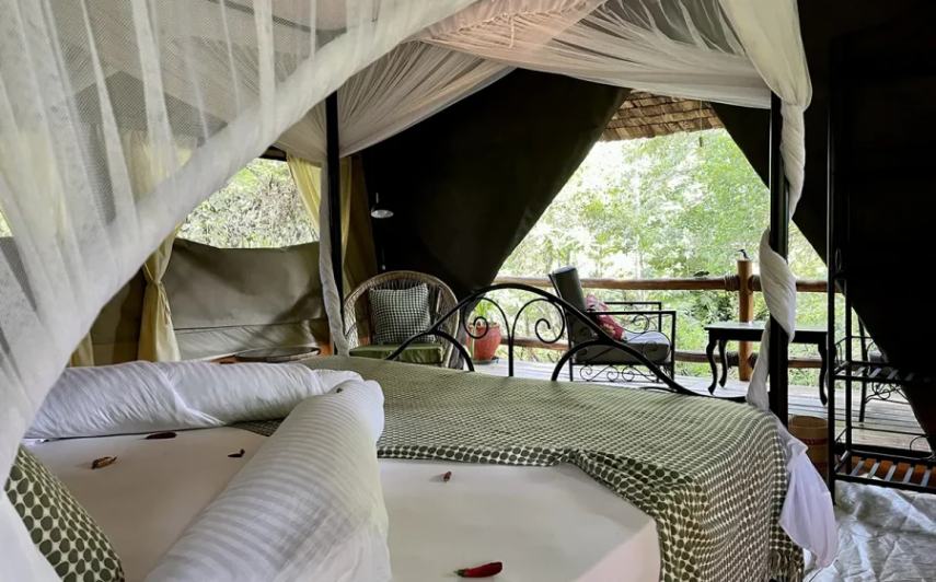 African  View Lodge image #5