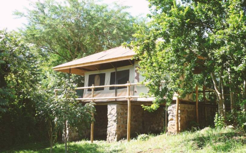African  View Lodge image #1