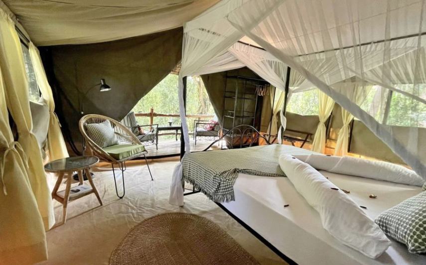 African  View Lodge image #19