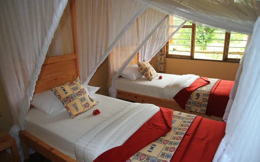 African  View Lodge image #3