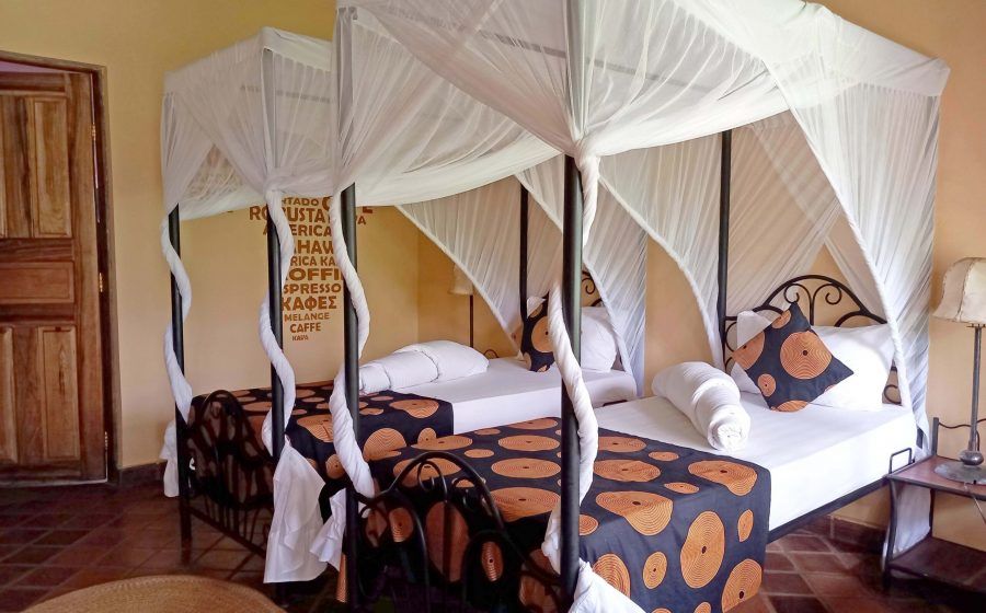 African  View Lodge image #13