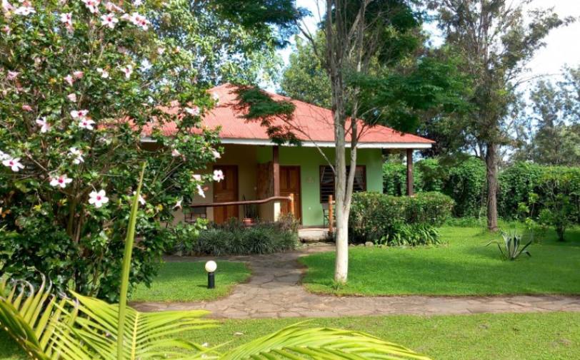 African  View Lodge image #8