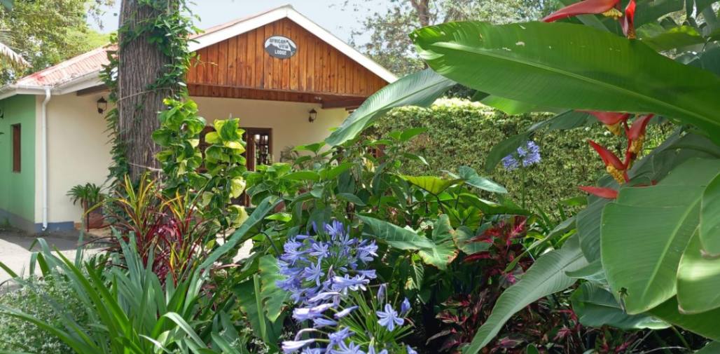 African  View Lodge image #6