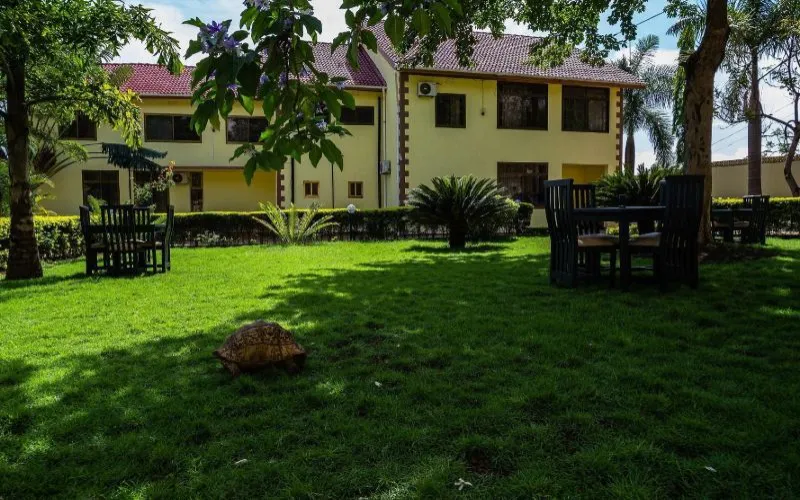 Altezza Lodge