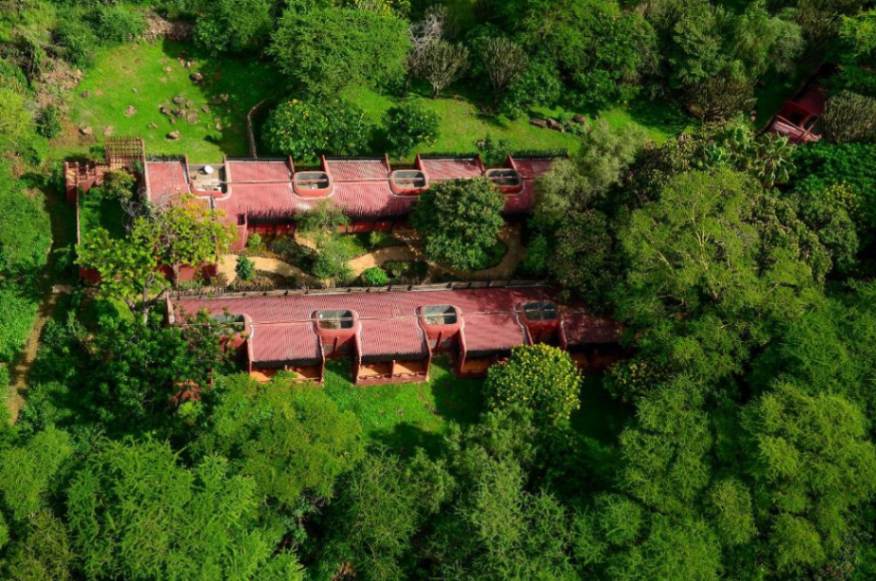 Amboseli Serena Safari Lodge image #7