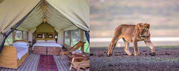 And Beyond Serengeti Under Canvas image #9