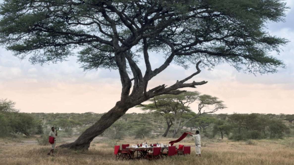 And Beyond Serengeti Under Canvas image #10