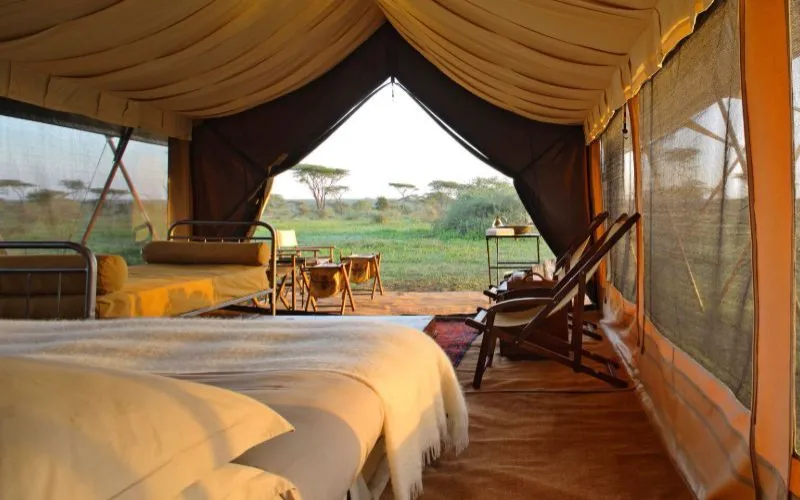 And Beyond Serengeti Under Canvas