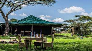 Angata Migration Camp image #14