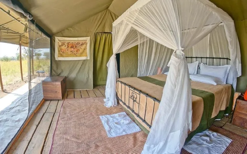 Angata Migration Camp - Bologonja