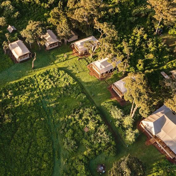Angata Ngorongoro Camp image #15