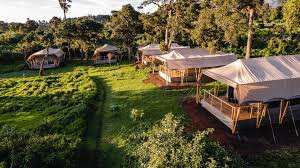 Angata Ngorongoro Camp image #5