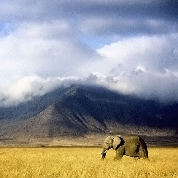 Angata Ngorongoro Camp image #9