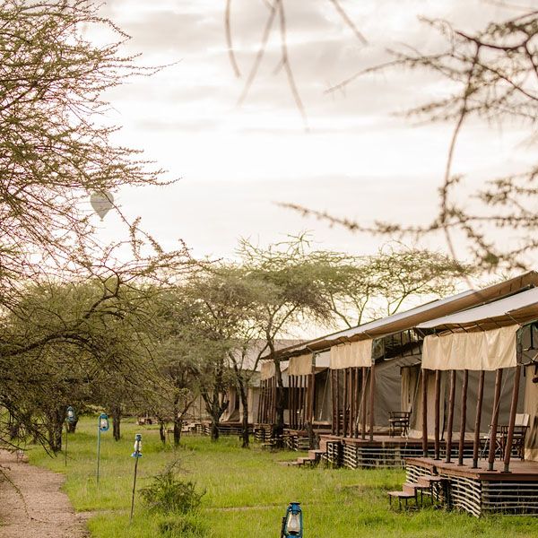 Angata Serengeti Camp image #2