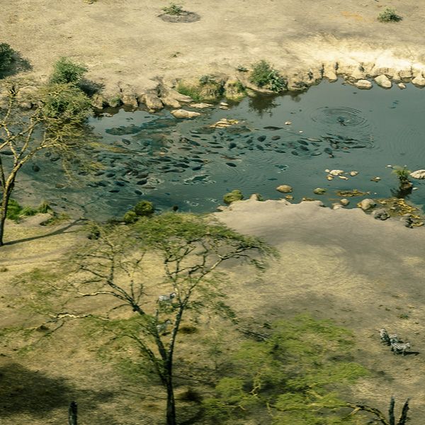 Angata Serengeti Camp image #9